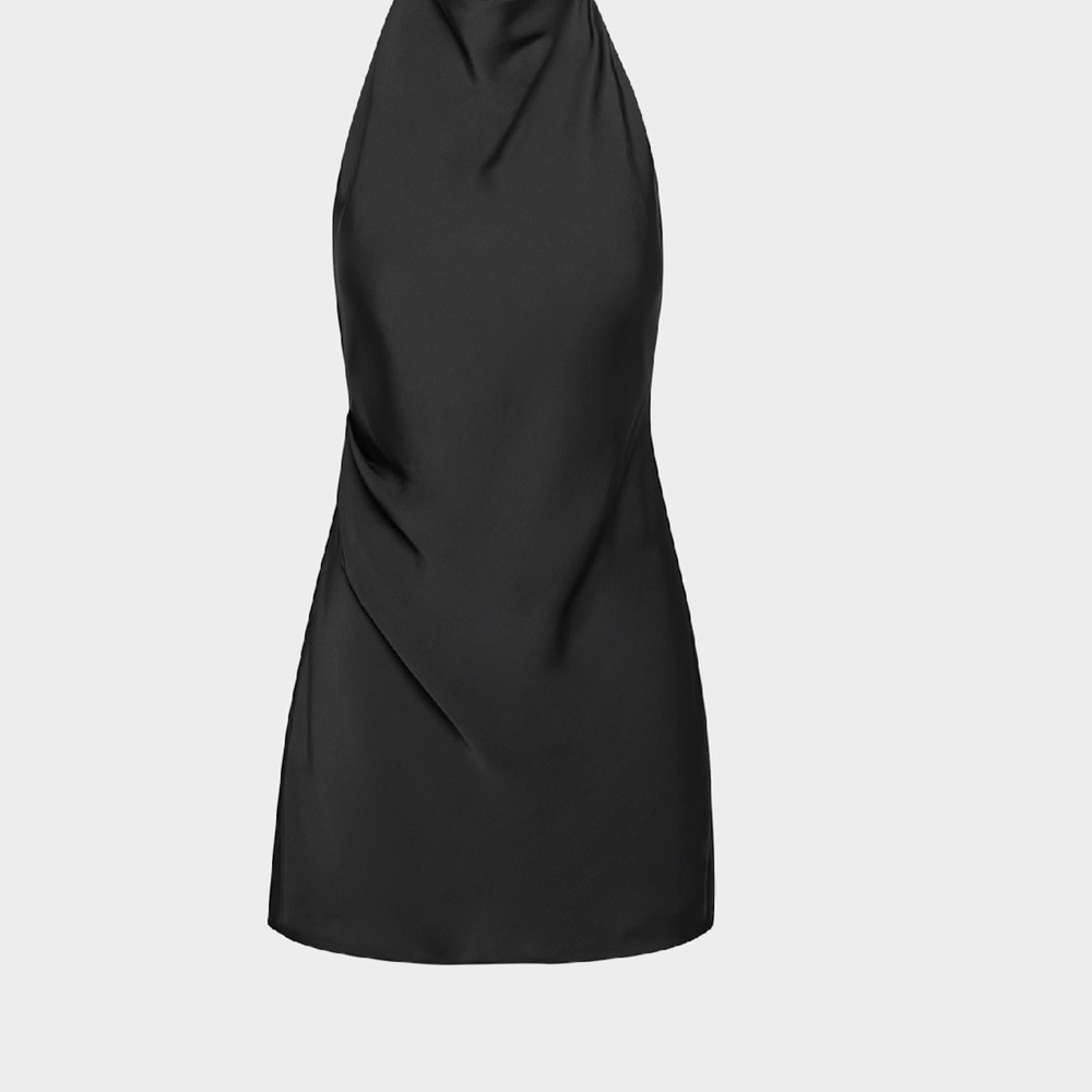 Aritzia Babaton Audience Satin Mini Dress